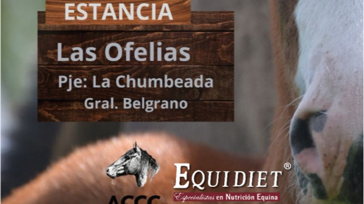 Las Acacias (Gral Belgrano)