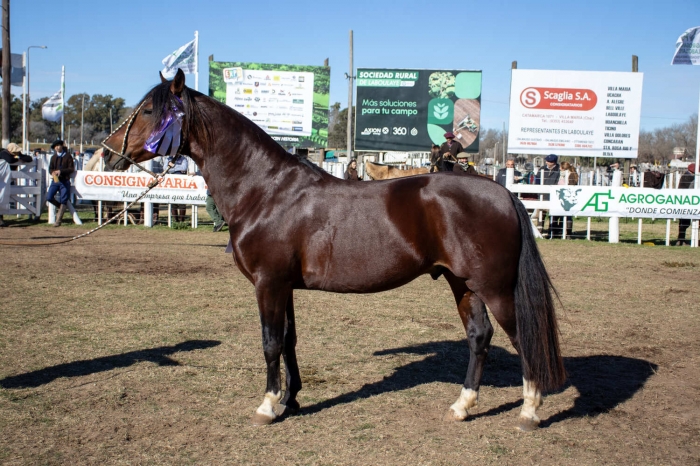 ASIDERA BIEN ARGENTINO
