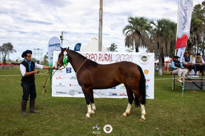 Tercer mejor hembra