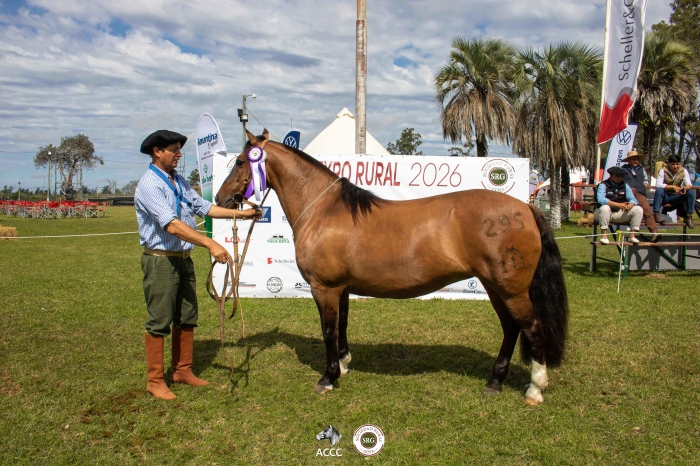 Reservado campeon hembra